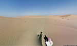 Google съемка пустыни верблюд Фото 02